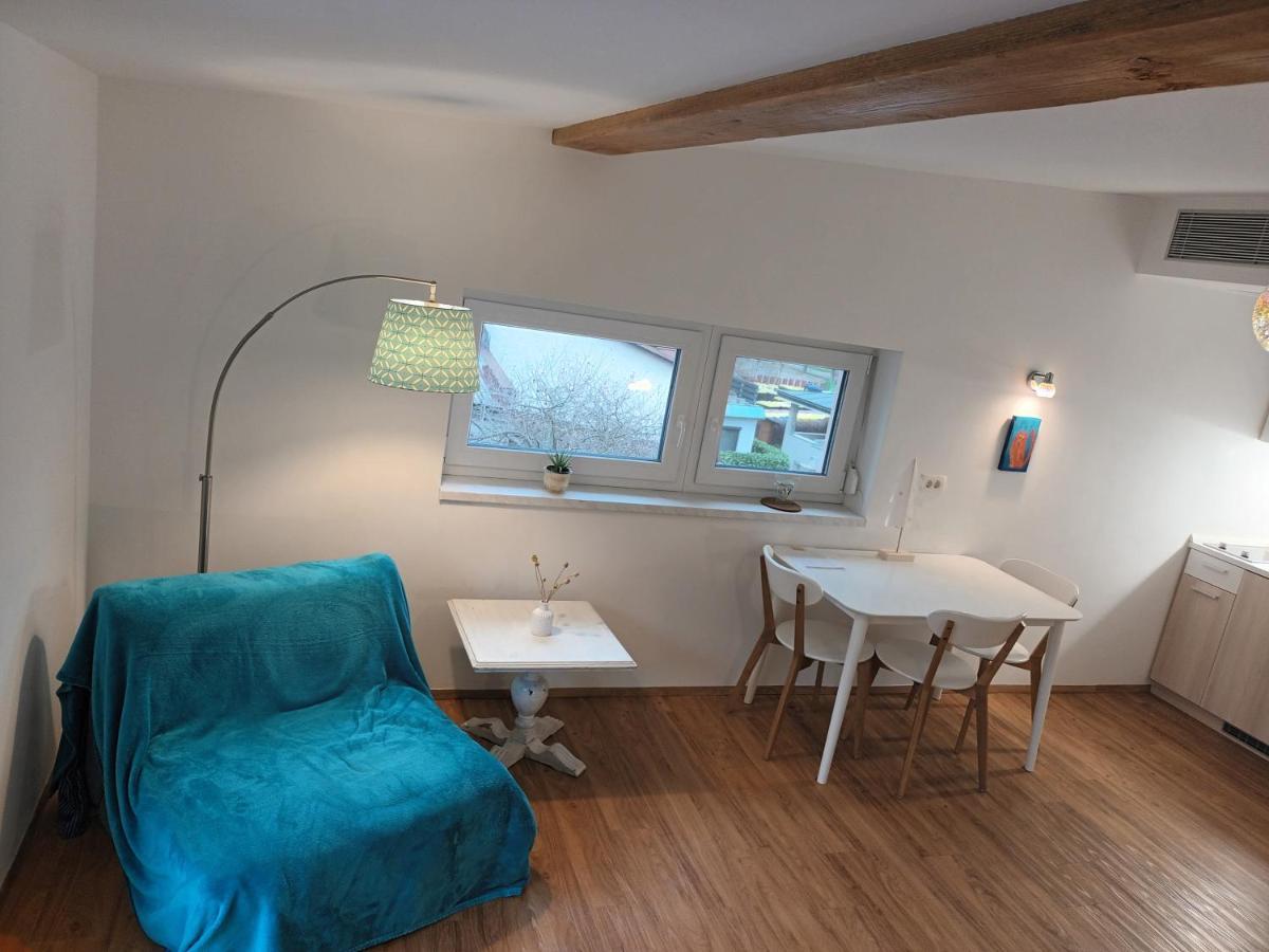 Accommodation Baron Ljubljana Bagian luar foto