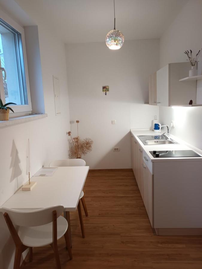 Accommodation Baron Ljubljana Bagian luar foto